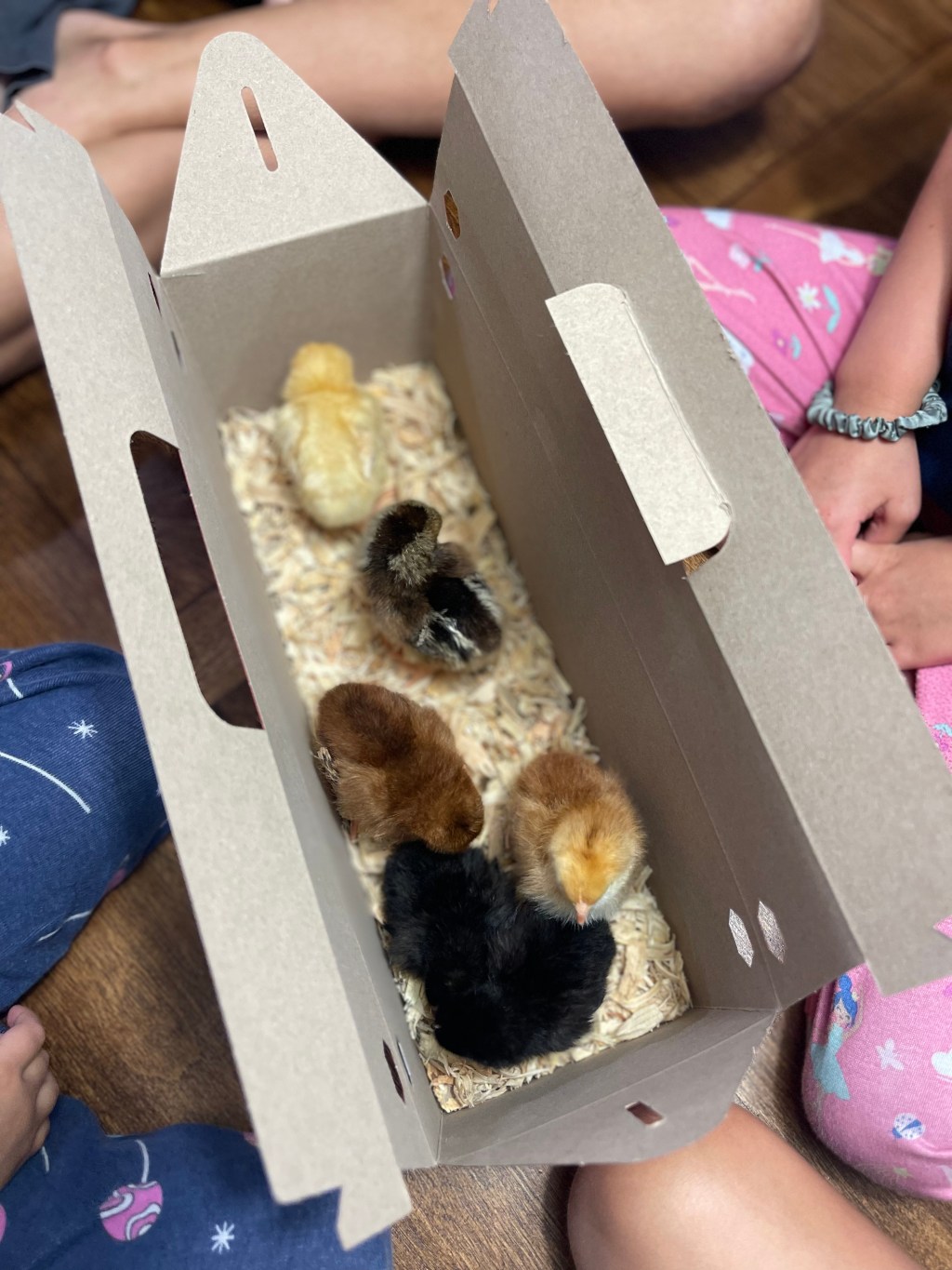 expanding our homestead