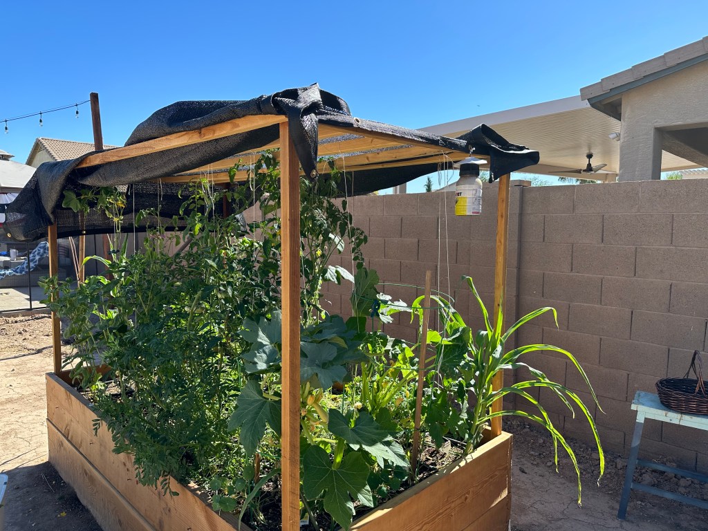 Phase 1: Prep the&nbsp;Garden