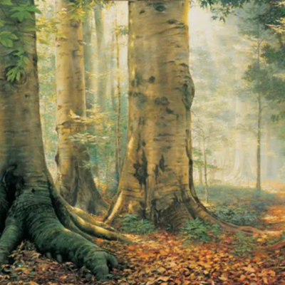 Come Follow Me 2025 – January –&nbsp;June